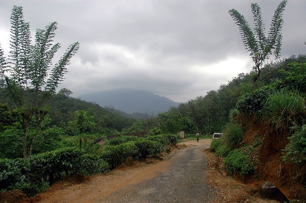 You have reached the last slide